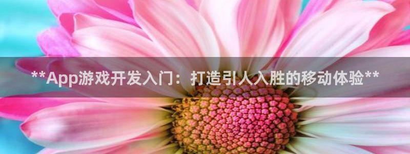 沐鸣娱乐2测速登陆