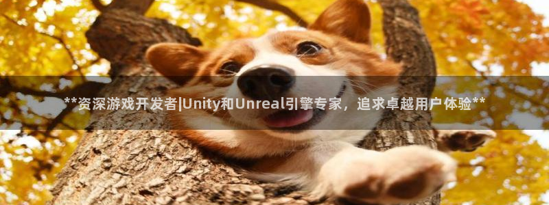 沐鸣娱乐2上来77542