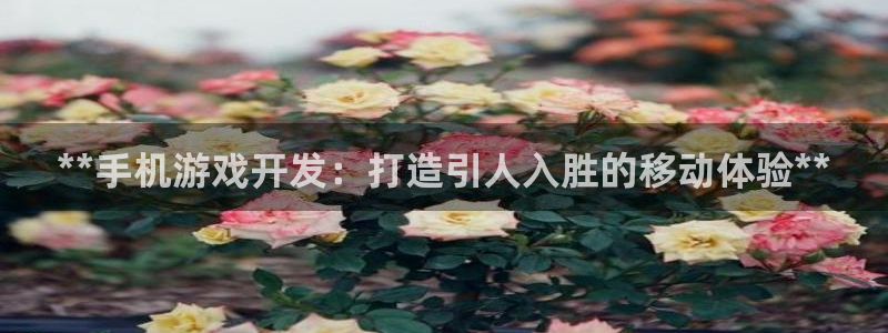 沐鸣2代理酋27337