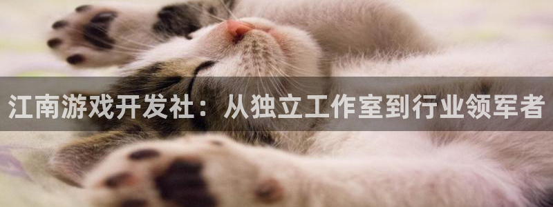 沐鸣2代理