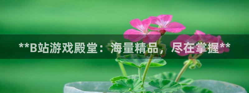 沐鸣娱乐2游戏说明