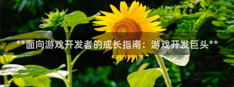 沐鸣2平台官网登录