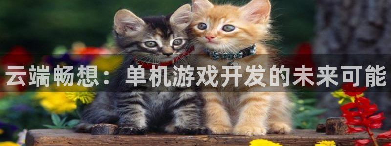 沐鸣2测速登陆：云端畅想：单机游戏开发的未来可能