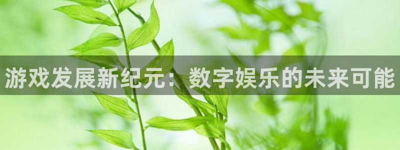 沐鸣2平台登录线路：游戏发展新纪元：数字娱乐的未来可能