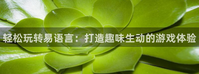 沐鸣2注册平台：轻松玩转易语言：打造趣味生动的游戏体验