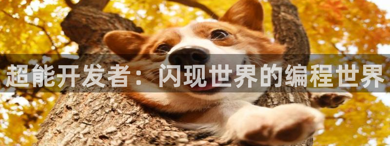 沐鸣2平台开户：超能开发者：闪现世界的编程世界