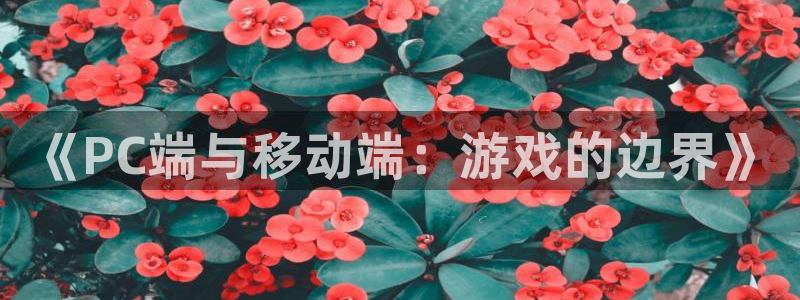 沐鸣娱乐2注册官网：《PC端与移动端：游戏的边界》