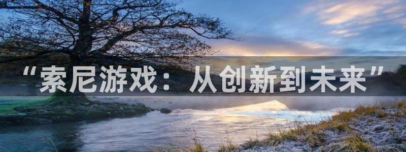 沐鸣2登录测速：“索尼游戏：从创新到未来”