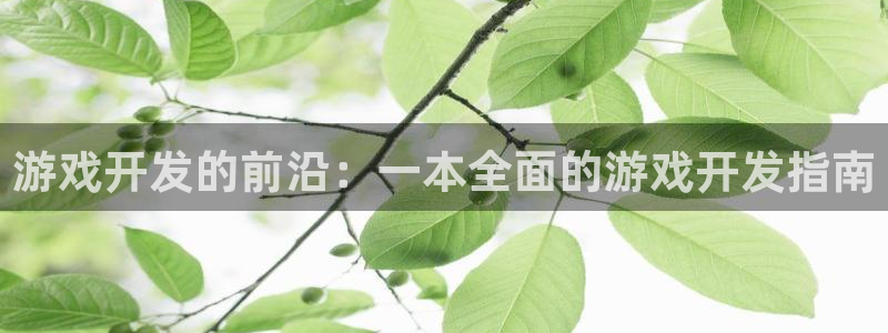 沐鸣娱乐2l怎么样：游戏开发的前沿：一本全面的游戏开发指南