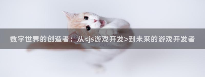 沐鸣2平台主管