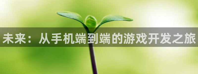 沐鸣2娱乐平台登录客服：未来：从手机端到端的游戏开发之旅