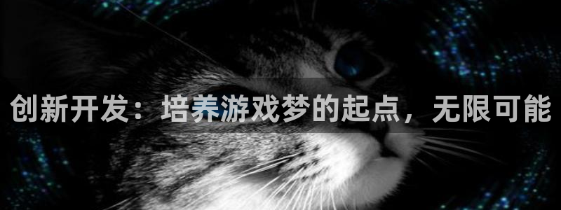 沐鸣2娱乐注册平台：创新开发：培养游戏梦的起点，无限可能