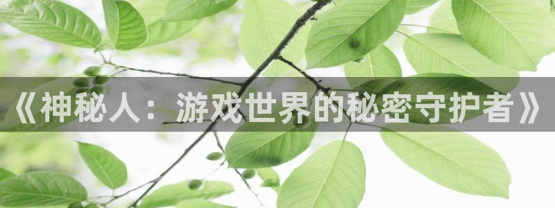 沐鸣娱乐平台2注册：《神秘人：游戏世界的秘密守护者》