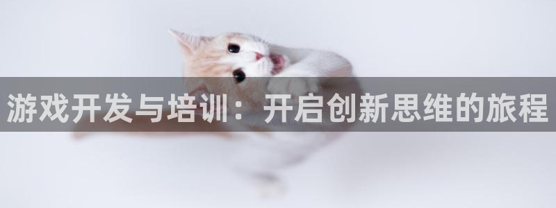 沐鸣2平台测速：游戏开发与培训：开启创新思维的旅程