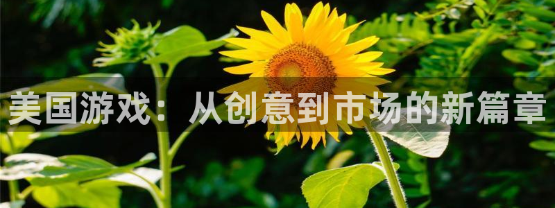 沐鸣2注册连接：美国游戏：从创意到市场的新篇章