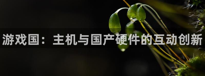 沐鸣2注册连接：游戏国：主机与国产硬件的互动创新